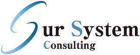 Sur System Consulting